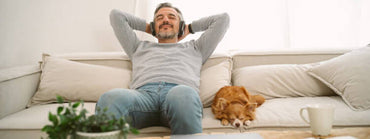 How to Train Your Pet to Respect the Couch