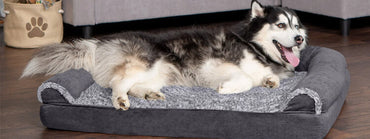 The Best Couch Materials for Dogs or Cats